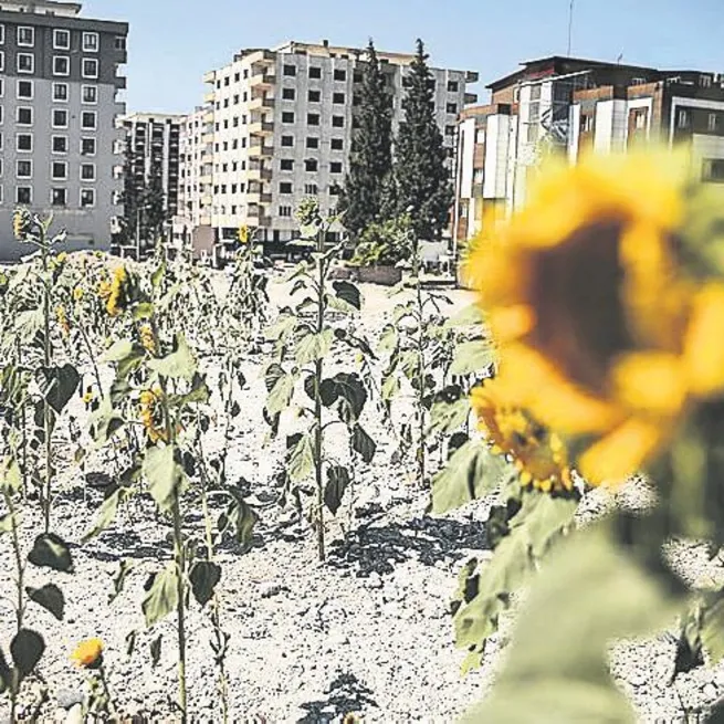 Gözlerimiz yeşerdi