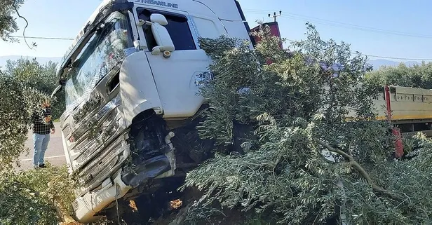 Şoför direksiyonda uyuya kalınca ortalık karıştı! Zeytinliğe daldı