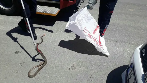 erzincanda-ekipleri-alarma-geciren-olay-cocuk-parkinda-bulundu-1590587518217.jpg Erzincan'da ekipleri alarma geçiren olay! Çocuk parkında bulundu-1