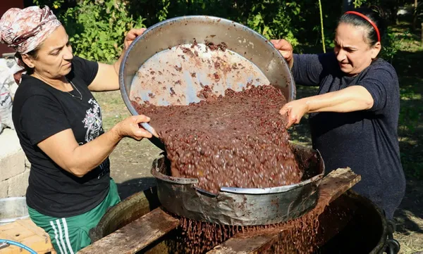 hatayda-dogada-kendiliginden-yetisen-defne-agacinin-meyvesi-yaga-donusturulug-litresi-100-liraya-satiliyor-1605765614201.jpg Hatay'da doğada kendiliğinden yetişen defne ağacının meyvesi yağa dönüştürülüğ litresi 100 liraya satılıyor-3