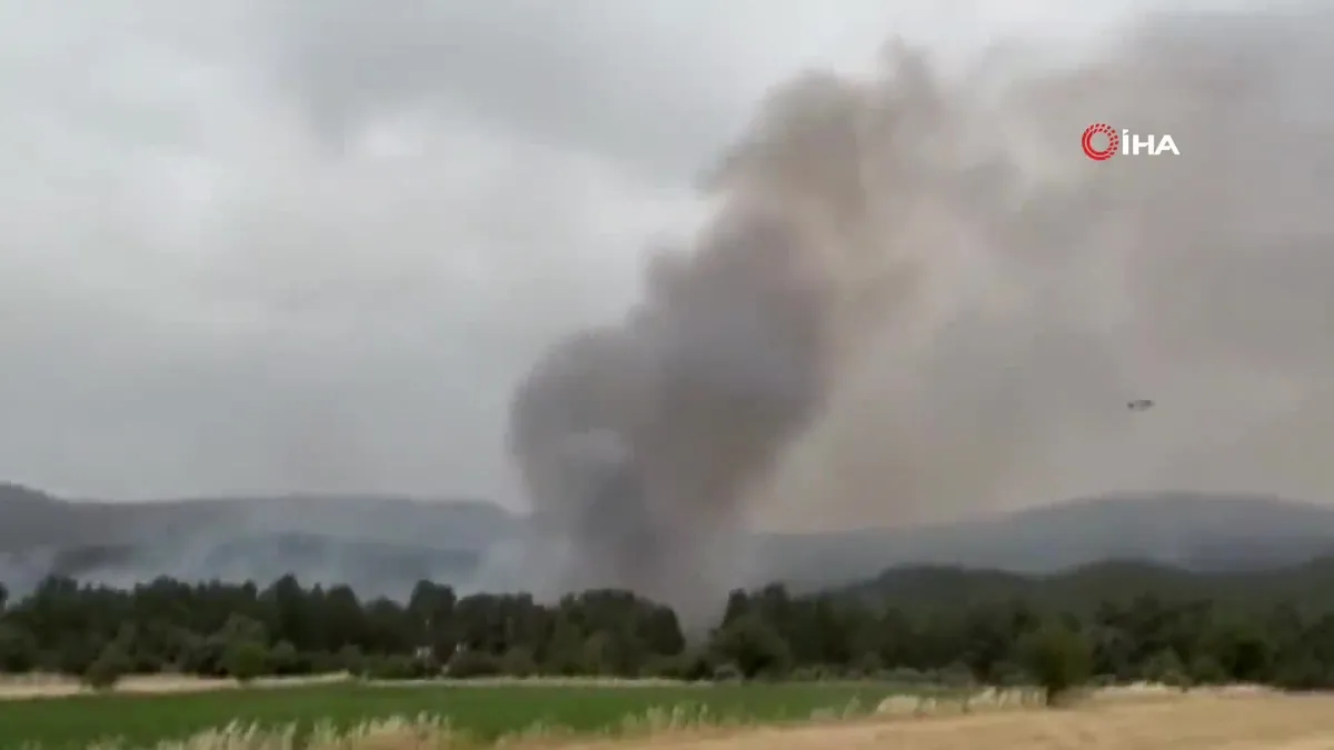 Muğla’da orman yangını