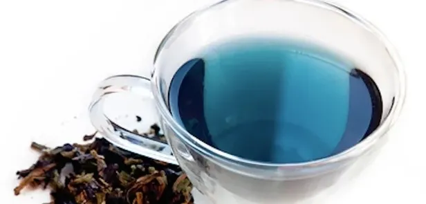 karabas-otu-cayinin-faydalari-nelerdir-nasil-yapilir-karabas-otu-cayi-ne-ise-yarar-1655410570153.jpeg Karabaş otu çayı ne işe yarar? Karabaş otu çayının faydaları nelerdir, nasıl yapılır?-3