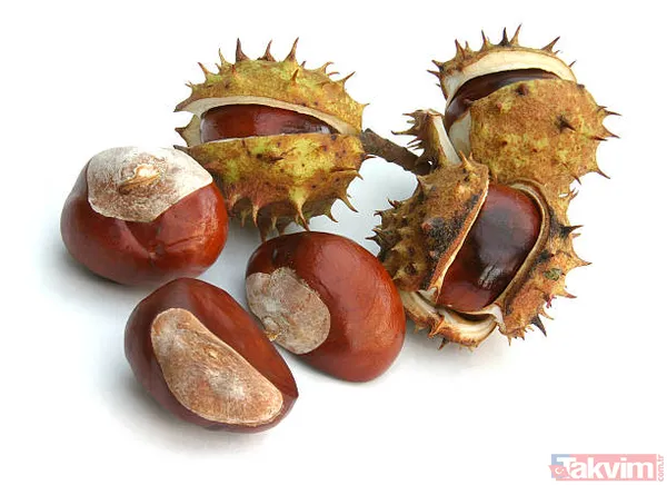 Mucizevi at kestanesi ile tüm hastalıklara savaş açın! Her derde şifa! Ağrıları bıçak gibi kesiyor! - 20