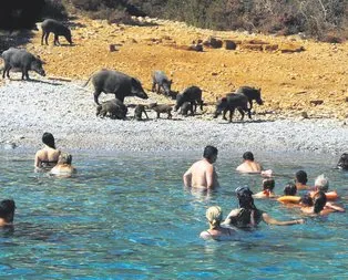 Bodrum’da da yüzdük beraber