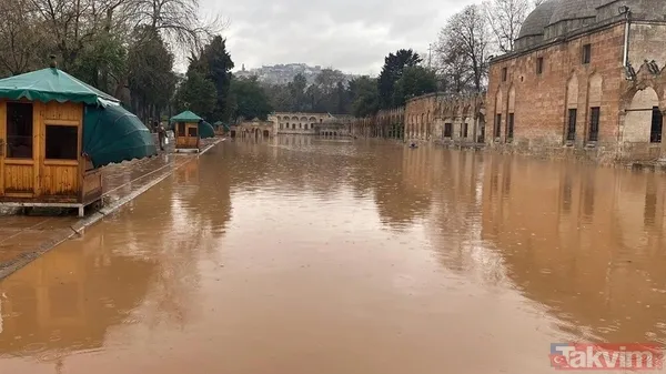Urfa'da sele kapılan kişiye el uzatmak yerine videoya çekti! Yaşlı adam çaresizce sürüklendi! O anlar kan dondurdu! "İnsanlık ölmüş..." - 14