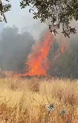 Son dakika: Antalya Kaş'ta orman yangını! Havadan ve karadan müdahaleyle kontrol altına alındı