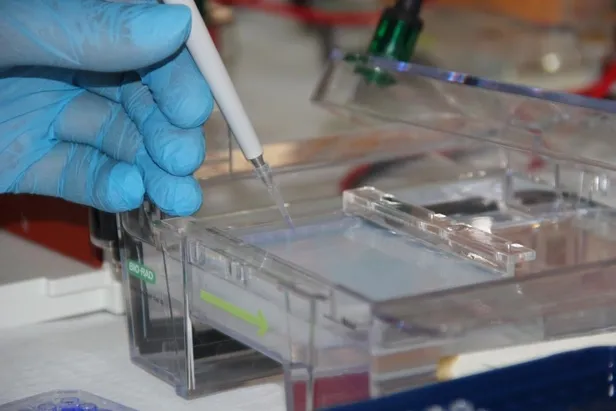 SON DAKİKA: TÜBİTAK Başkanı Mandal'dan flaş yerli aşı açıklaması! Mutasyonlara karşı etkili olacak mı?-5