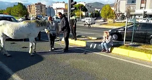 balikesirde-ata-carpan-kadin-surucu-gozyasina-boguldu-1635177680843.jpeg Balıkesir'de ata çarpan kadın sürücü gözyaşlarına boğuldu-2