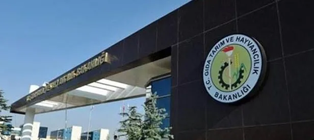 Bakanlık yeni müjde! Bu ay açıklanacak