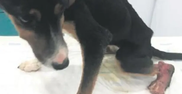 Ayağına asit dökmüşler