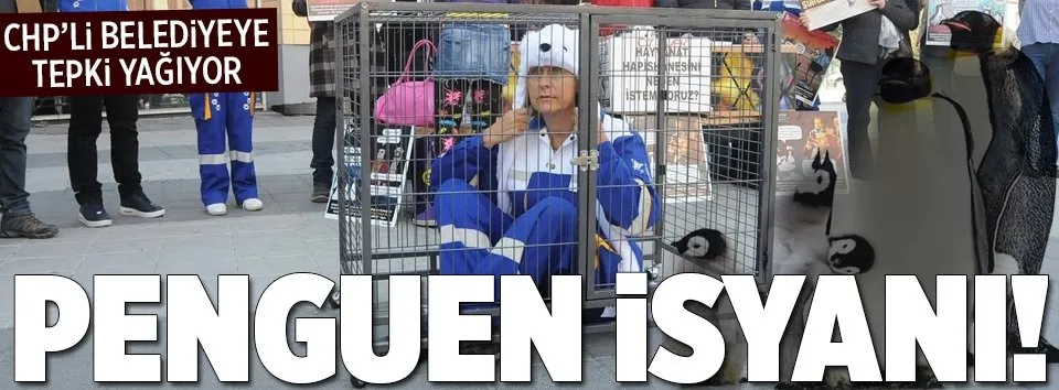 Penguen isyanı