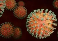 Son dakika: İranda koronavirüs kabusu! Son 24 saatte...