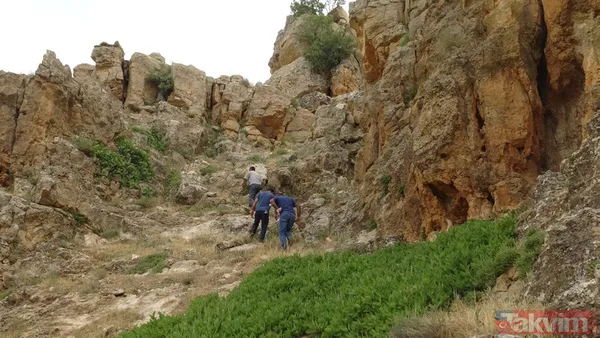 Babasından öğrendi! 150 metre yükseklikteki kayalardan topladığı balı 1000 TL'ye satıyor - 4