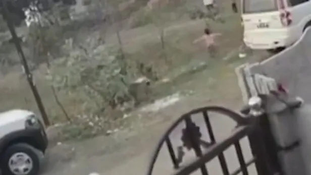 maymunlarin-intikami-agir-oldu-1-maymuna-karsi-250-kopek-yavrusu-1639867274143.jpeg Maymunların intikamı ağır oldu! 1 maymuna karşı 250 köpek yavrusu...-4