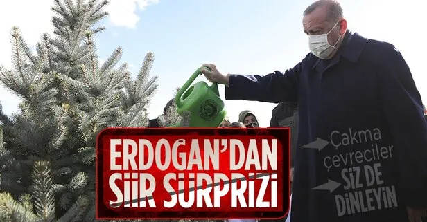 Son dakika: Başkan Erdoğan’dan 5 Haziran Dünya Çevre Günü mesajı! Cahit Irgat’ın Ağaç şiirini seslendirdi