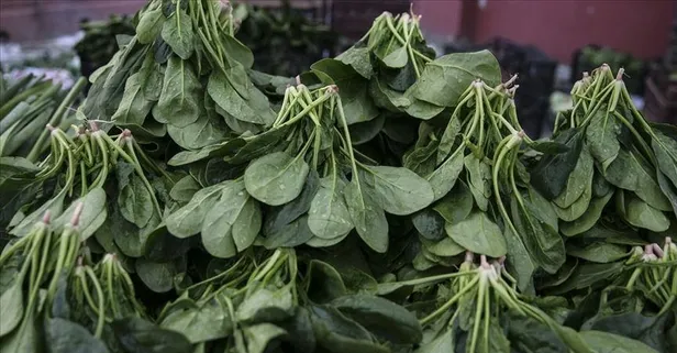 Ispanak eski havasına kavuştu