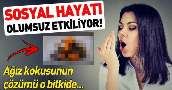 agiz kokusunun cozumu zerdecal takvim
