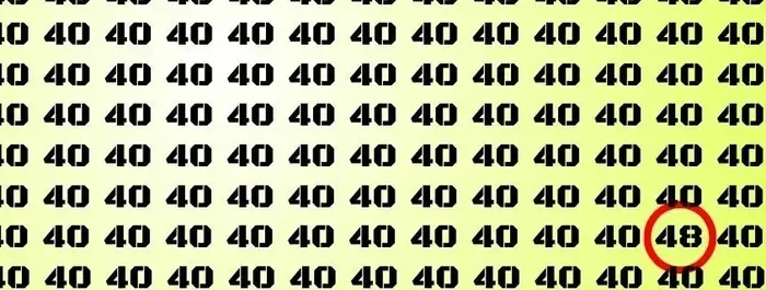 40-sayilariyla-dolu-fotograftaki-48-sayisini-6-saniyede-sadece-dahiler-buluyor-1701179213119.jpg 40 sayılarıyla dolu fotoğraftaki 48 sayısını bulabilir misin? 6 saniyede ancak dâhiler buluyor-5