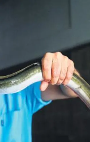 Hobi için başladı ihracatla büyüdü