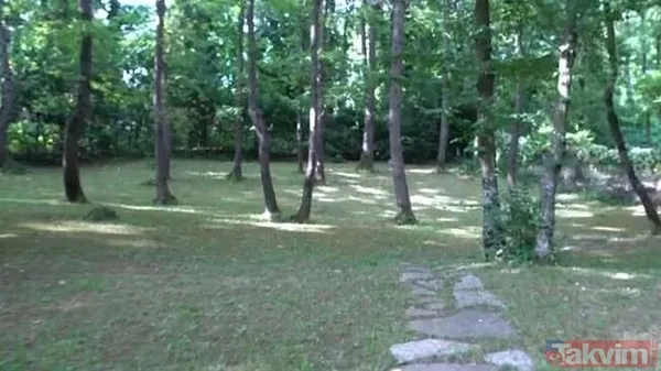 Eser Yenenler ile Berfu Yenenler'in evinde korku dolu anlar! 3 saat boyunca kabus yaşadılar - 22