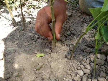 Aylık kazancı dudak uçuklatıyor! Hayatta hiçbir şey için geç değil! 68 yaşında kurs aldı dünyaya satıyor!-5