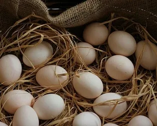 Astıma yumurta kır!