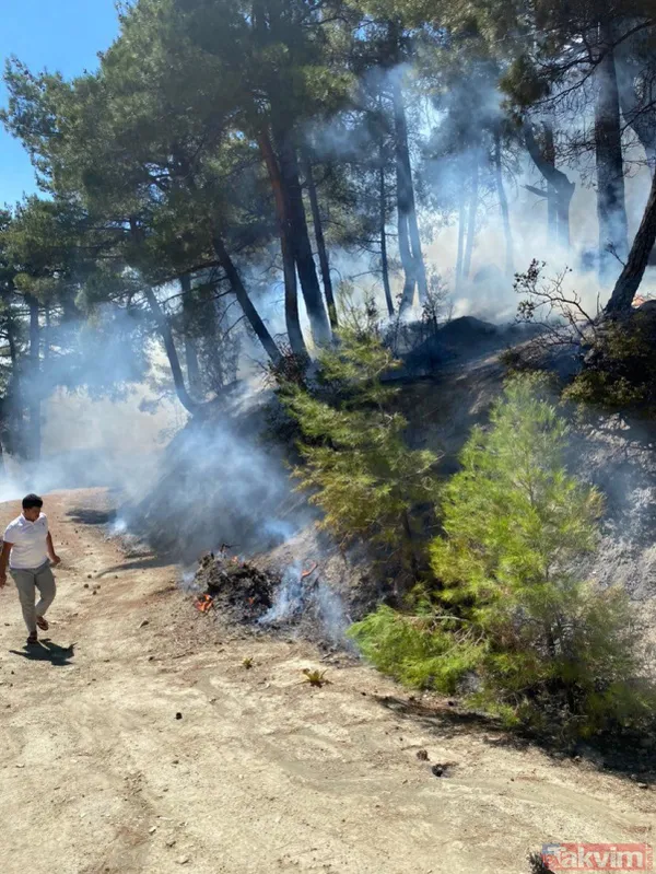 SON DAKİKA: Antalya Kaş'ta orman yangını! Kontrol altına alındı - 5