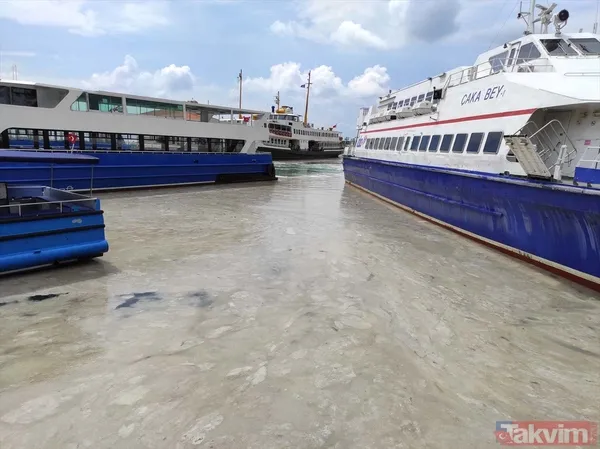 Caddebostan Sahili'nde müsilaj yoğunluğu arttı! Tabloya benzer görüntüler oluştu - 27