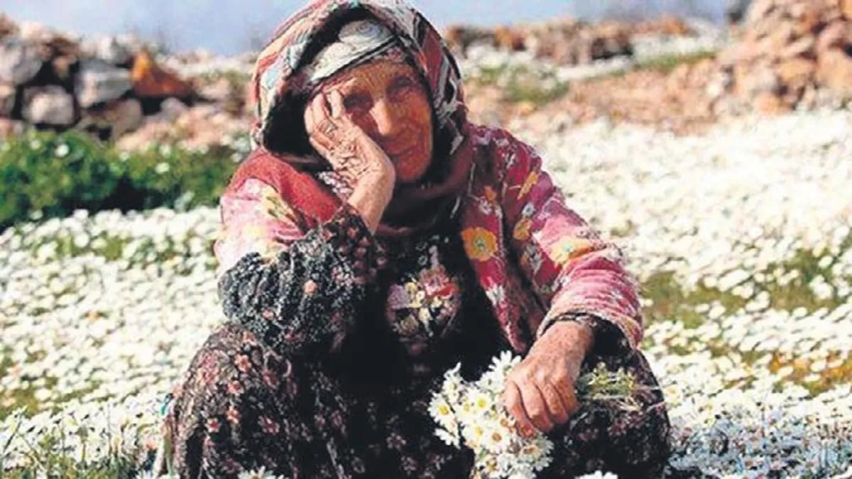 Türkiye'nin en yaşlı ili Sinop oldu