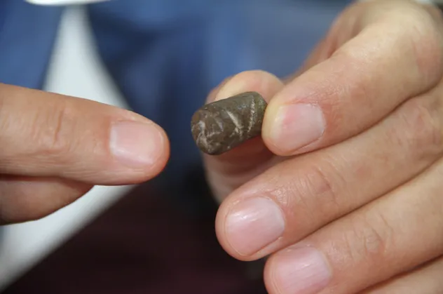 Harput'ta 2 bin 700 yıllık Urartu mührü bulundu