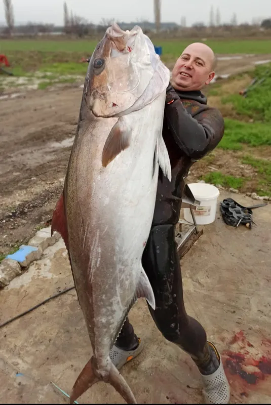 zipkinla-avladi-1-metre-85-santimetre-uzunlugunda-akya-1613467609782.jpg Zıpkınla avladı! 1 metre 85 santimetre uzunluğunda akya-5