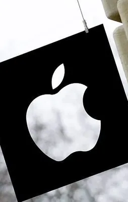 Apple'ın geliri rekor kırdı