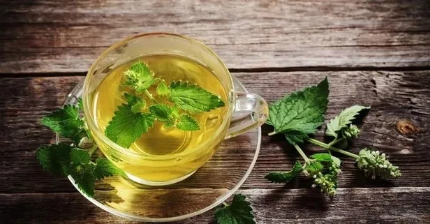 Nanenin zihinsel ve fiziksel sağlık üzerindeki faydaları nelerdir?