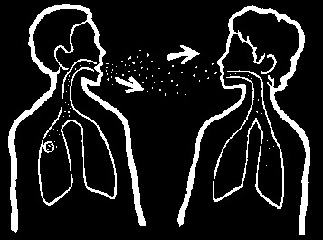 Veremle savaş devam ediyor