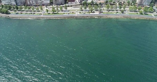 İletişim Başkanı Fahrettin Altun'dan 'Müsilaj' temizliğine ilişkin paylaşım: Büyük değişim umut verici