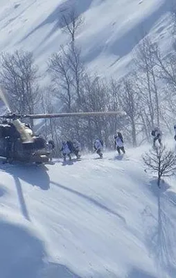 Öldürülen terörist sayısı 29'a yükseldi