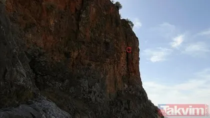 Başkan Erdoğan için 150 metre tırmanıp topluyor!