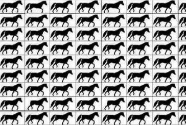 Resimdeki 3 ayaklı atları bulabilir misin?