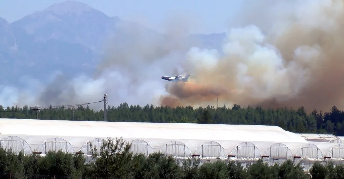 Antalya Aksu'da orman yangını