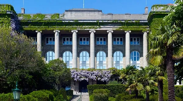 LGS sonuçları açıklanıyor: Özel okullardan dudak uçuklatan fiyatlar geldi! Lisede okumanın bedeli 1 milyon TL-10
