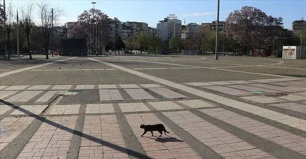 15 gün sokağa çıkma yasağı olacak mı? Bu hafta sonu sokağa çıkma yasağı var mı?