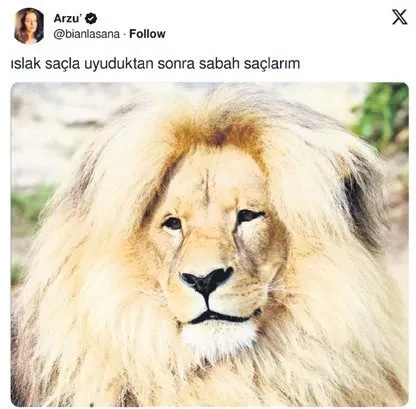banyoda-sarki-soylerken-kendini-assolist-sanmak-1779052512637.jpeg