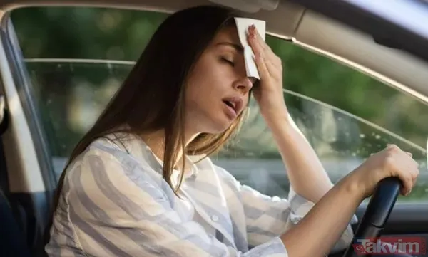 Yaz Aylarının En Kavurucu Dönemlerinden Biri Olarak Bilinen Eyyamı Bahur, Bu Yıl Da Türkiye'yi Etkisi Altına Aldı. Afrika Kaynaklı Aşırı Sıcak Hava Dalgasıyla...