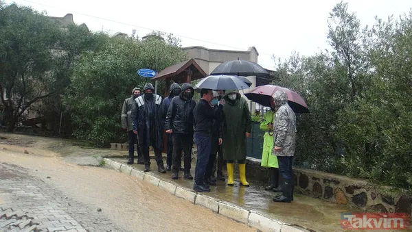 Muğla Bodrum'da hep aynı manzara! Evleri su bastı, sokak hayvanları boğuldu - 24