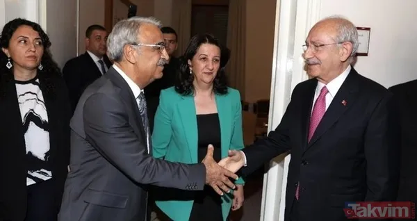 Terör örgütü PKK'dan Kılıçdaroğlu'na bir destek daha! Terörist Sozdar Avesta bebek katili Öcalan'ın özgürlüğü için oy istedi - 6