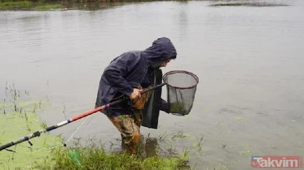 Leonardo DiCaprio’nun Türkiye paylaşımı heyecan yarattı! 47 yıl sonra ortaya çıktı: Batman Bantlı Çöpçü Balığı - 6