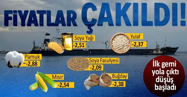Türkiye’nin güçlü diplomasisiyle yola çıkan ilk gemi tarım emtia fiyatlarına doğrudan etki yaptı!