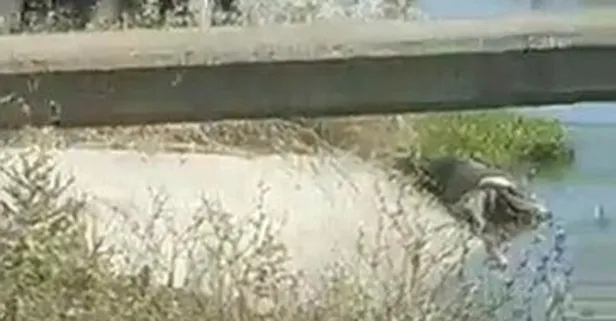 Edirne’de 3 gündür aranan şahsın cansız bedeni bulundu