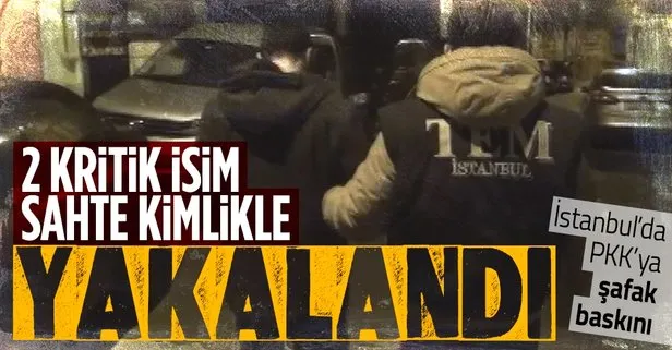 İstanbul’da terör örgütü PKK’ya şafak baskını: 2 kritik isim yakalandı