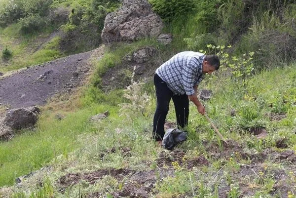 6 kilo salep soğanına 48 bin 625 lira ceza!-3